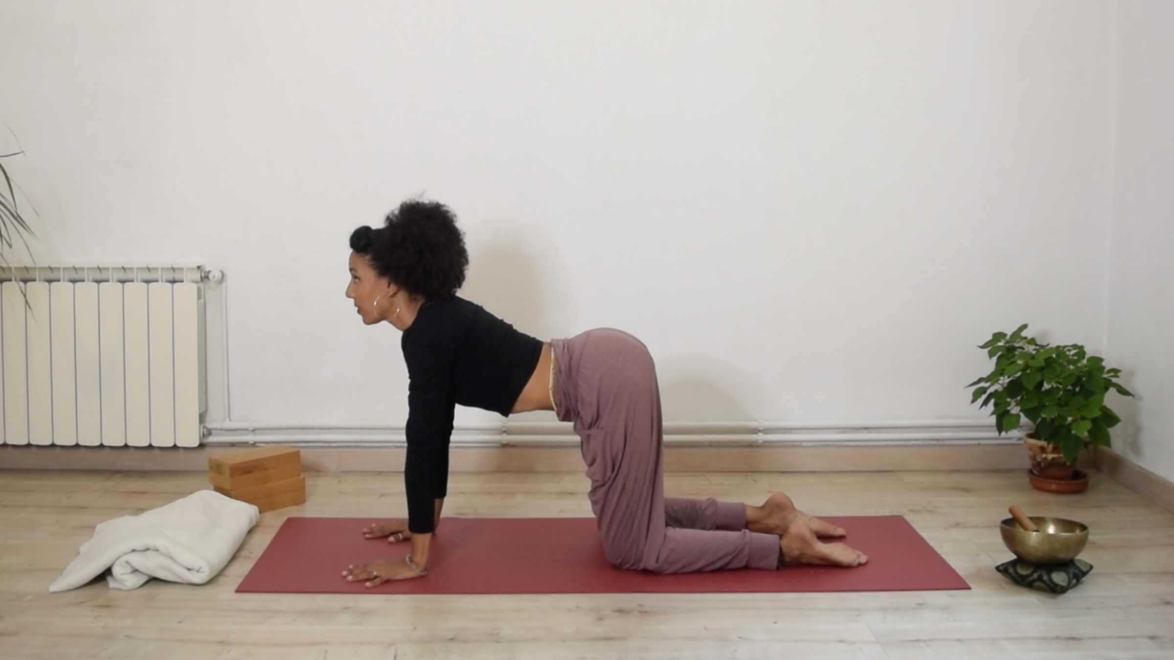 Yoga instructor Laia Bové on her hands and knees performing Cat-Cow pose to mobilize her spine.